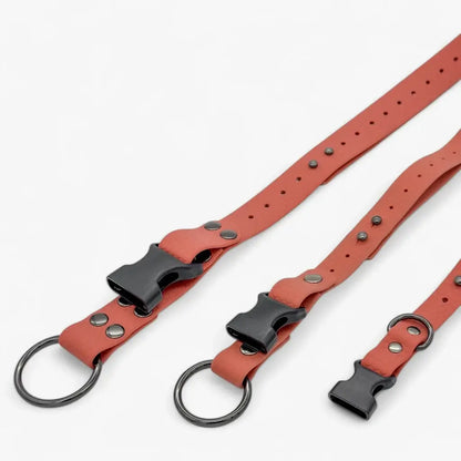 Hexa waterproof neck strap for dogs