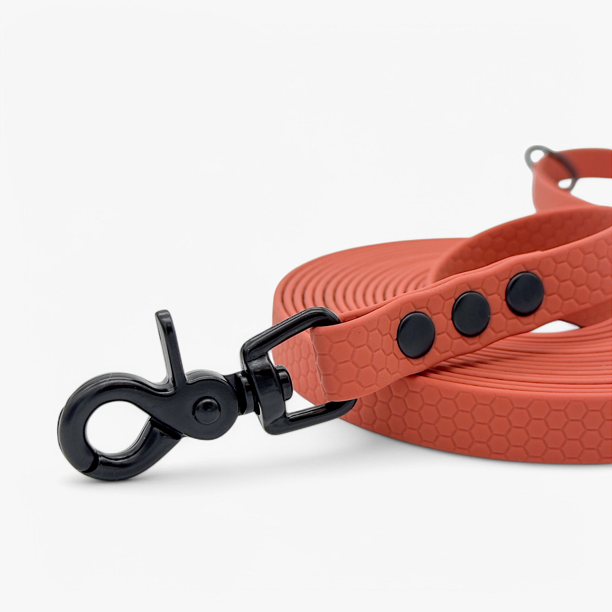 Hexa classic leash