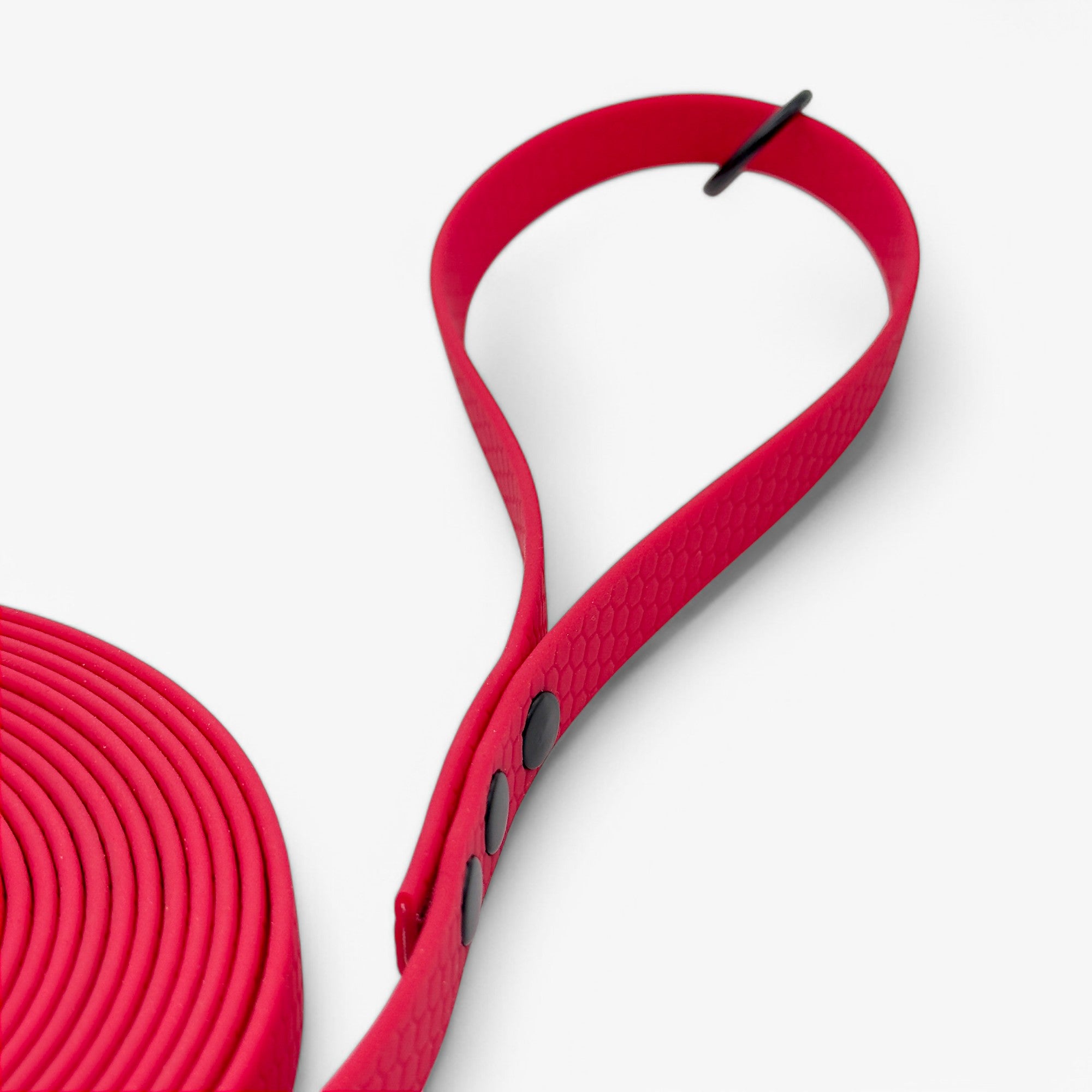 Hexa classic leash