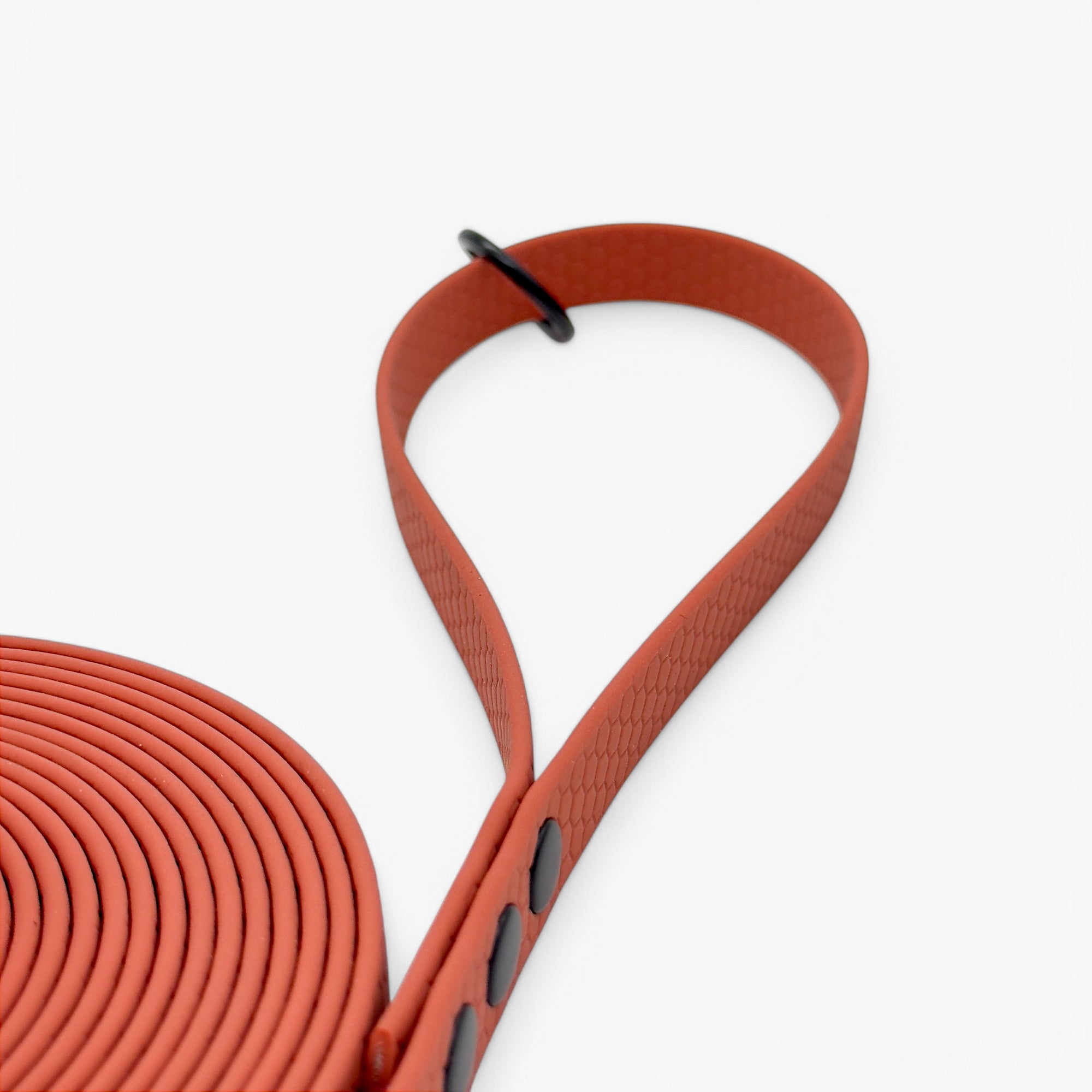 Hexa classic leash