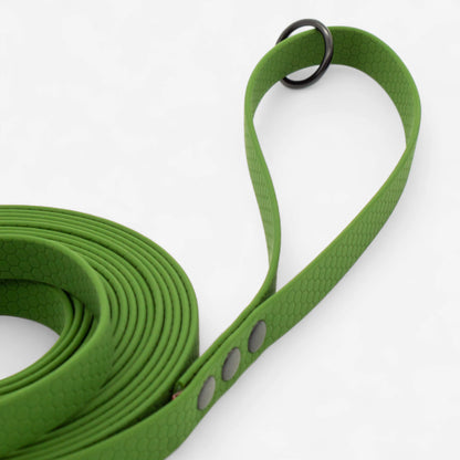 Hexa classic leash