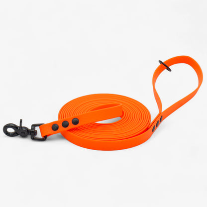 Hexa classic leash