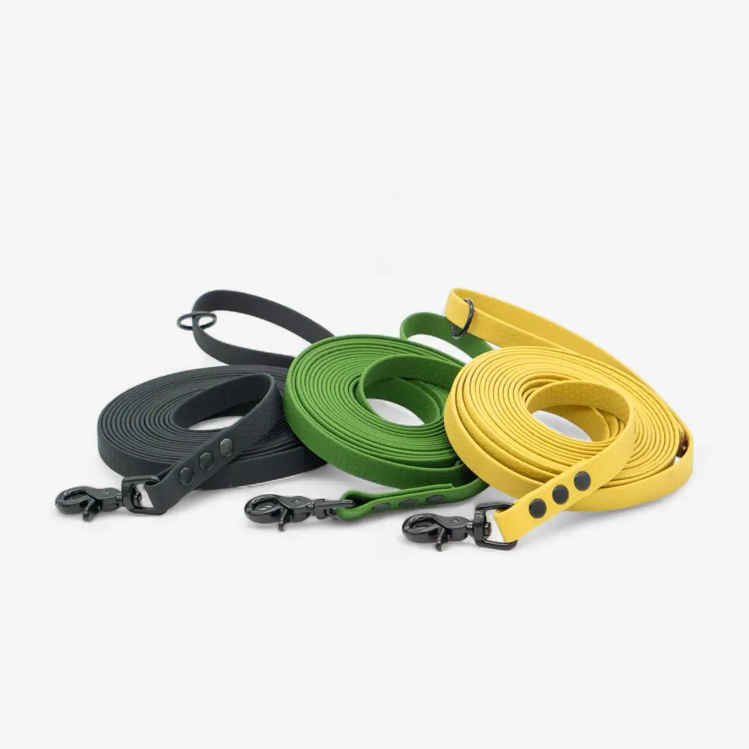 Hexa classic leash