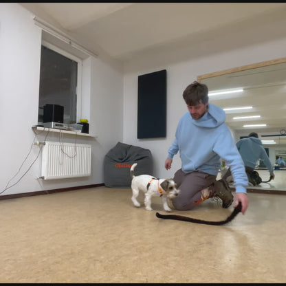 Artificial Snake - Natural and Fur Gaming Toy for Dogs