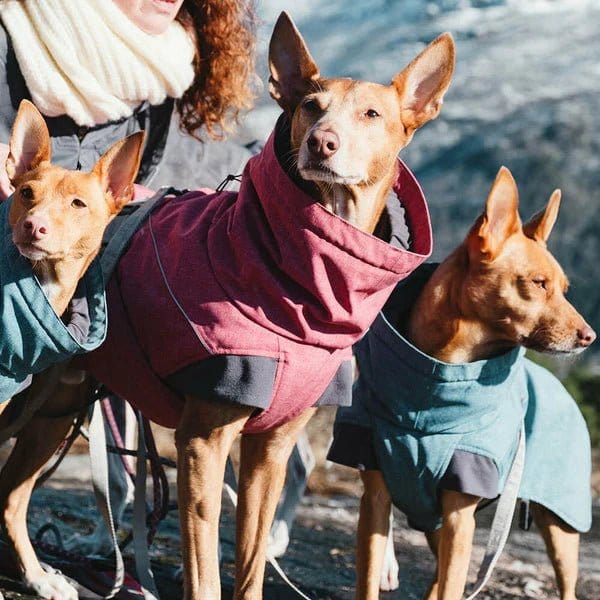 HURTTA Expedition ziemas jaka suņiem - Melna - ObiDog