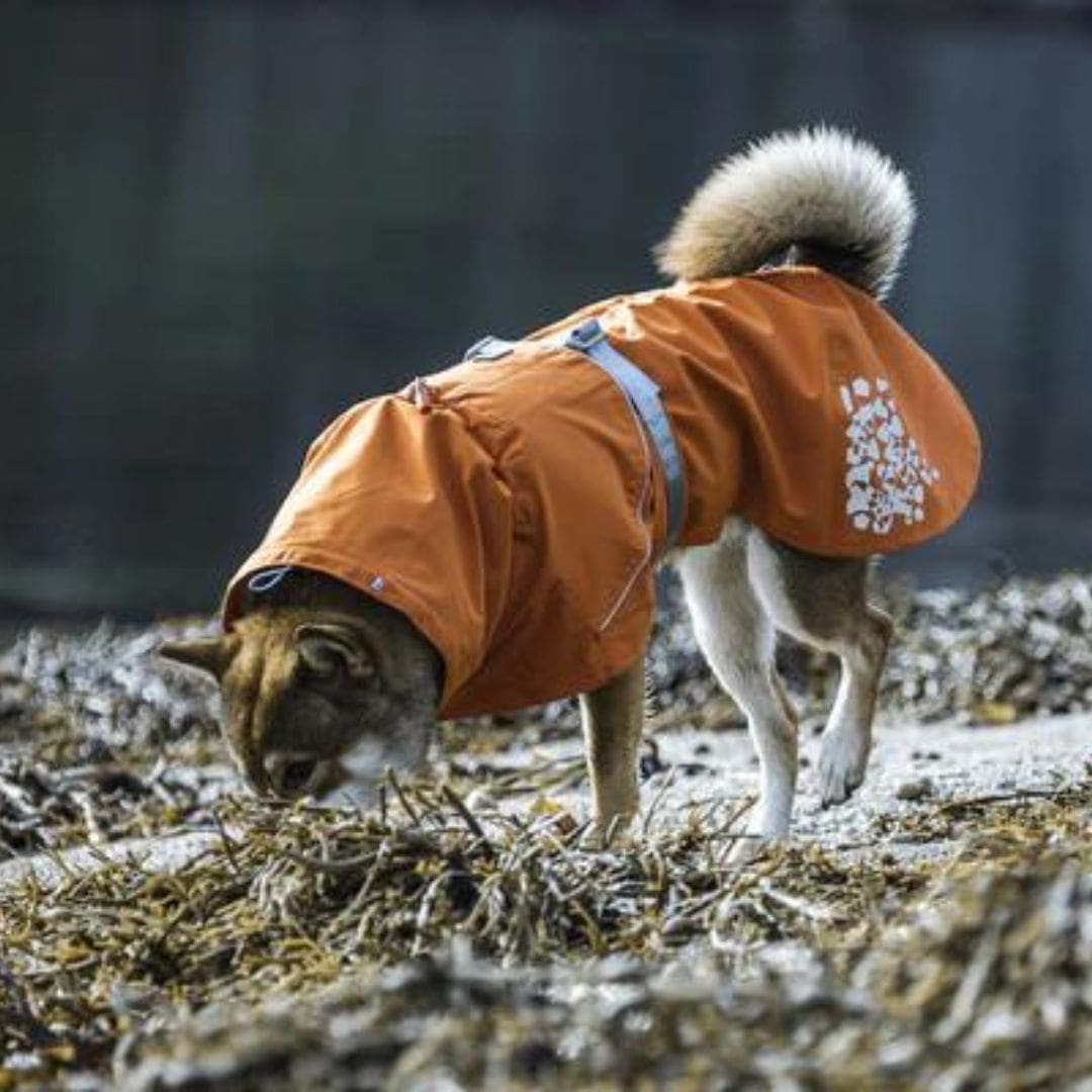Hurtta Monsoon lietusmētelis suņiem - ObiDog