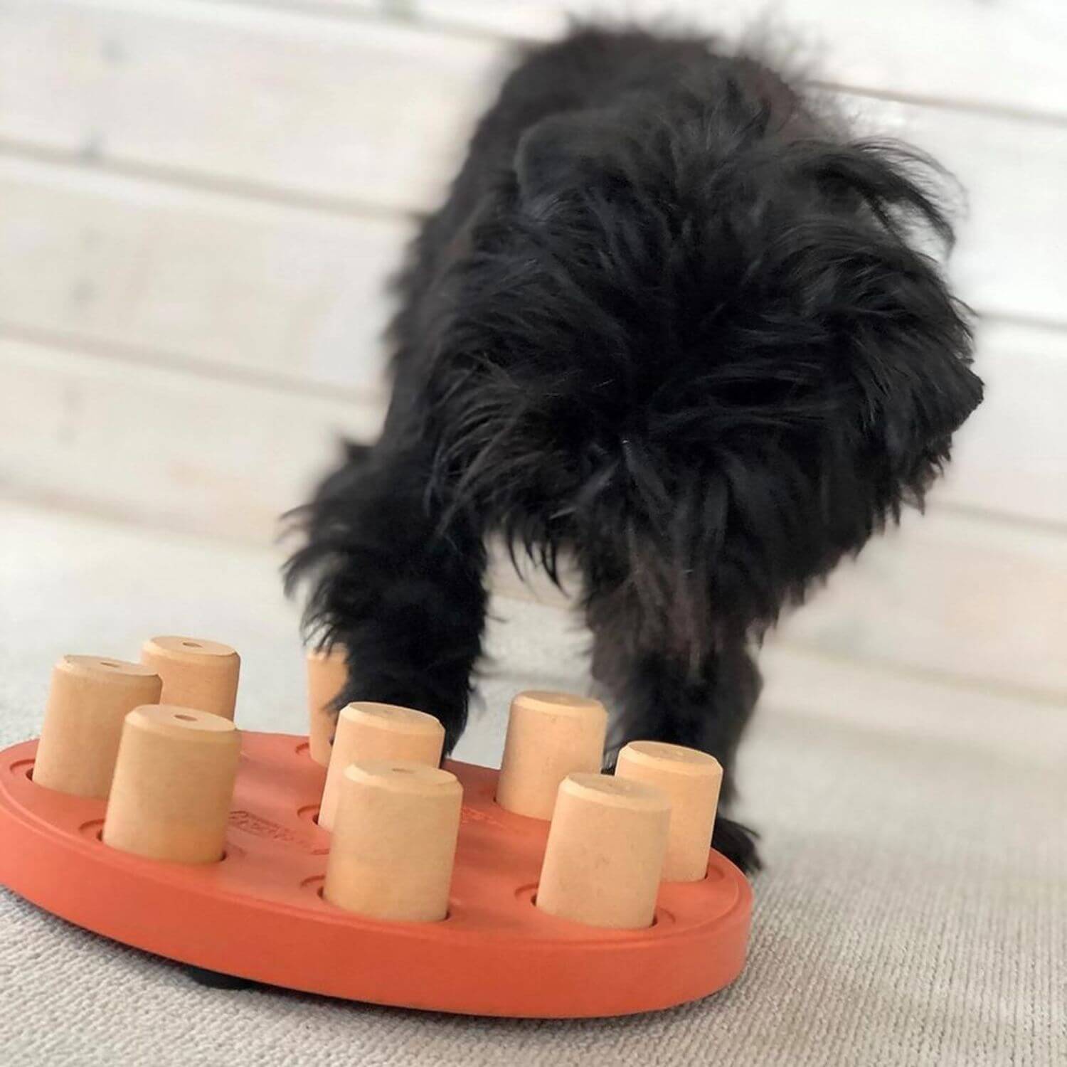 Nina Ottosson Dog Smart interaktīvā rotaļlieta suņiem - ObiDog