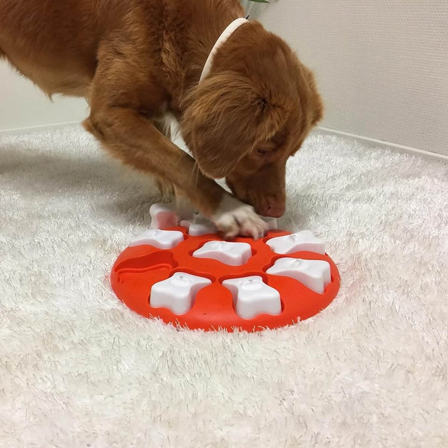 NINA OTTOSSON Smart plastmasas rotaļlieta suņiem - ObiDog